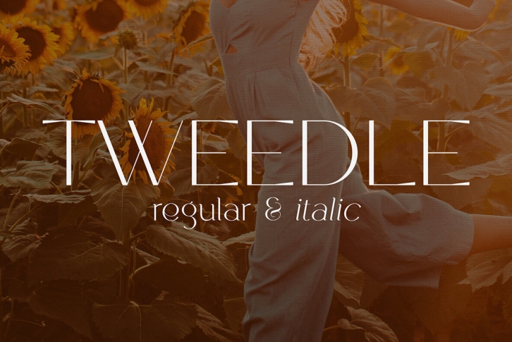 Tweedle Font Font Download