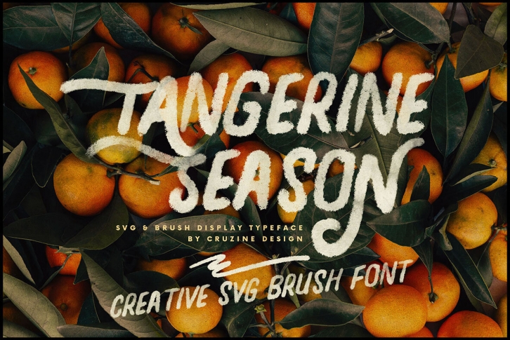 Tangerine Season Font Font Download