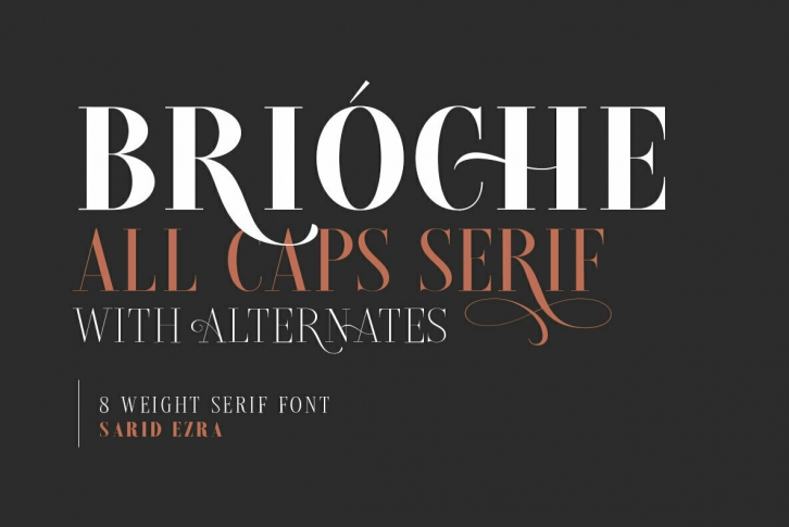 Brioche Font Font Download