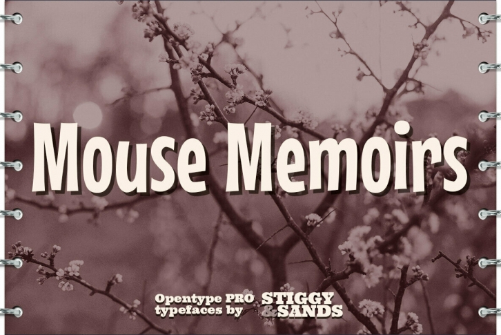 Mouse Memoirs Pro Font Font Download