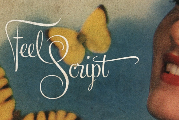 Feel Script Font Font Download