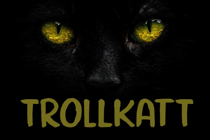 Trollkatt Font Font Download