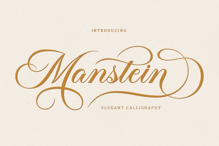 Manstein Font Font Download