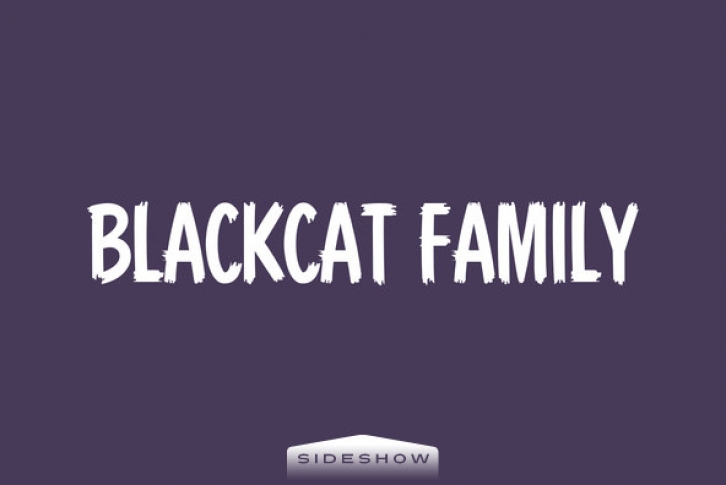 Blackcat Family Font Font Download