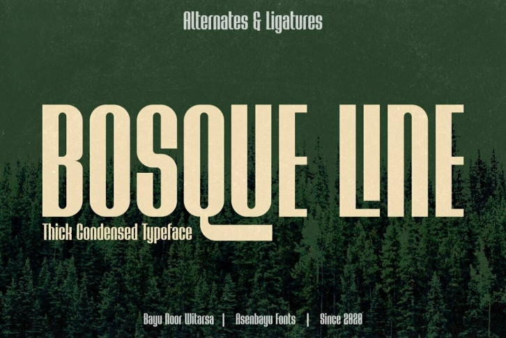 Bosque Line Font Font Download