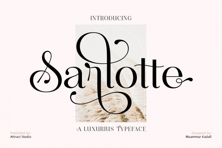 Sarlotte Font Font Download