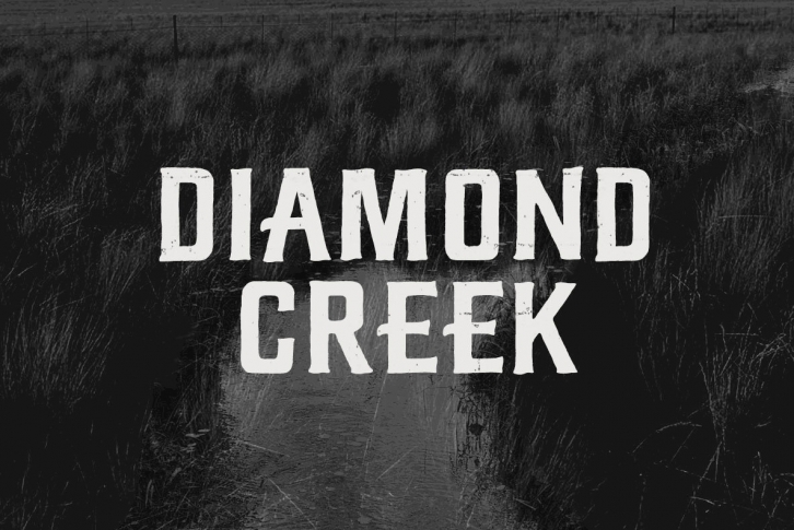 Diamond Creek Font Font Download