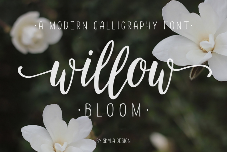 Willow Bloom Font Font Download