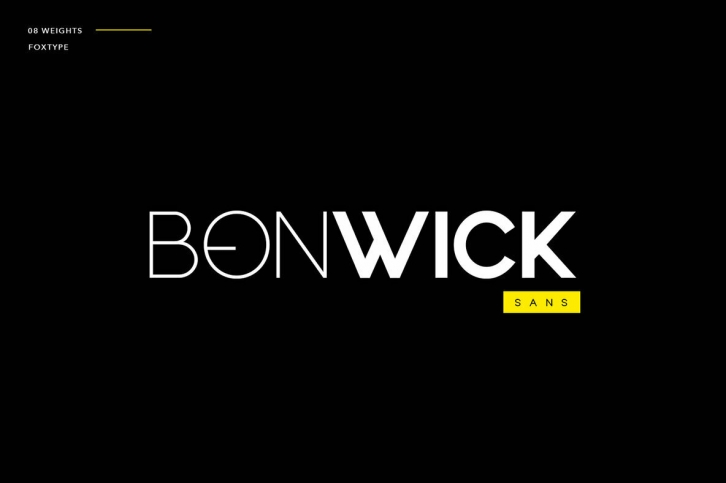 Bonwick Typeface Font Font Download