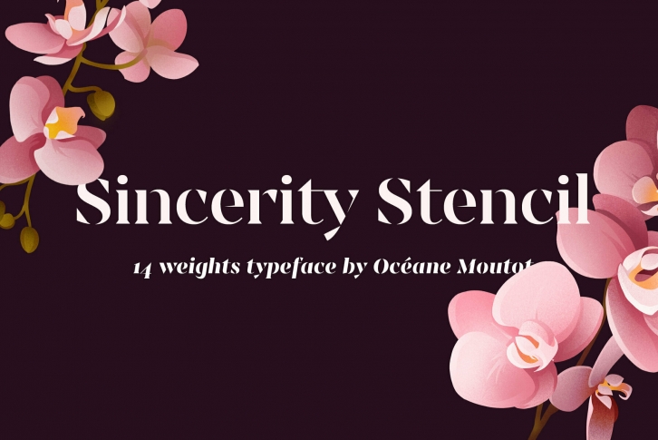 Sincerity Stencil Font Font Download