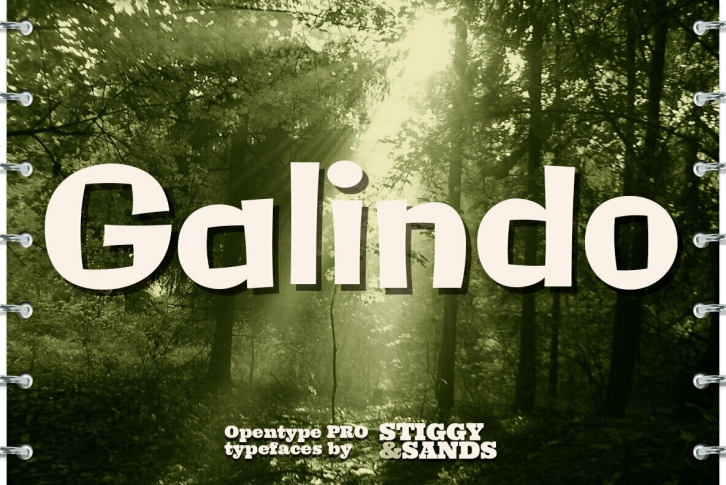 Galindo Pro Font Font Download