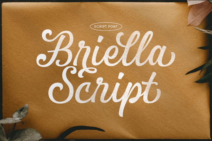 Briella Font Font Download