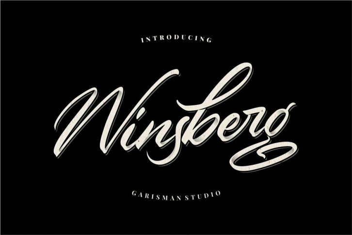 Winsberg Font Font Download