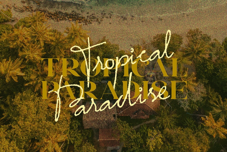 Tropical Paradise - Duo Font Download