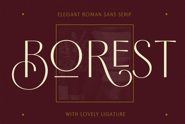 Borest Font Font Download