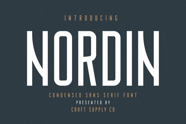 Nordin Font Font Download