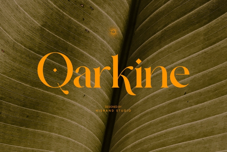 Qarkine Font Font Download