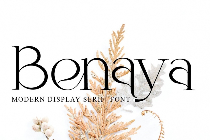 Benaya Font Font Download