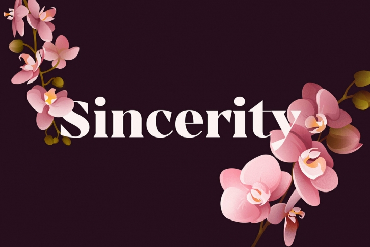 Sincerity Font Font Download