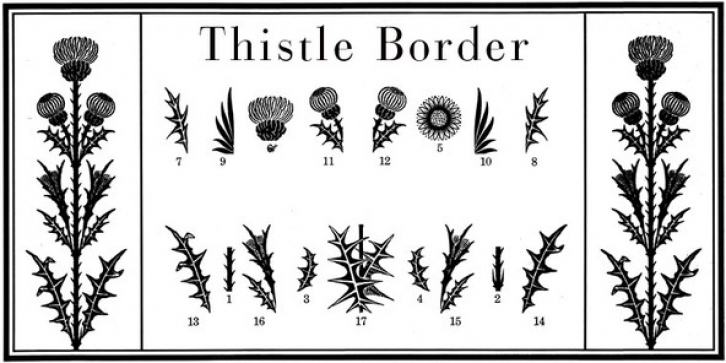 Thistle Borders Font Font Download