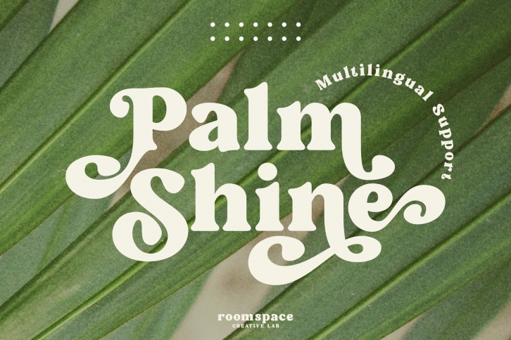 Palm Shine Font Font Download