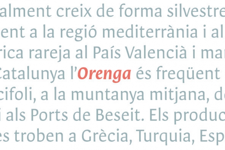 Orenga Font Font Download