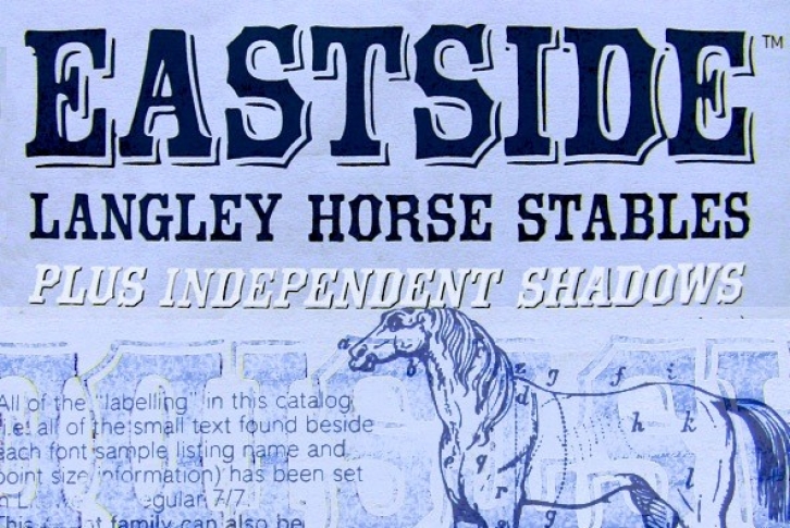 Eastside Font Font Download