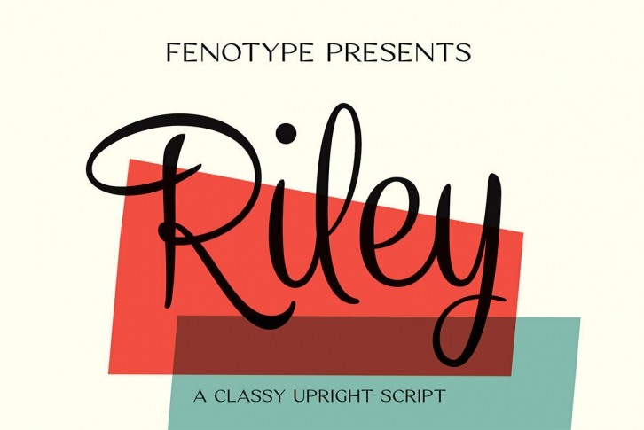 Riley Font Font Download