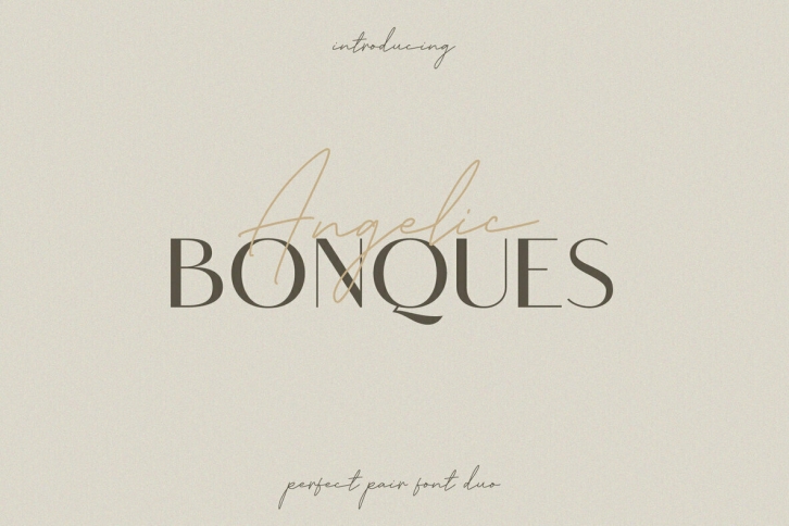 Angelic Bonques Duo Font Download