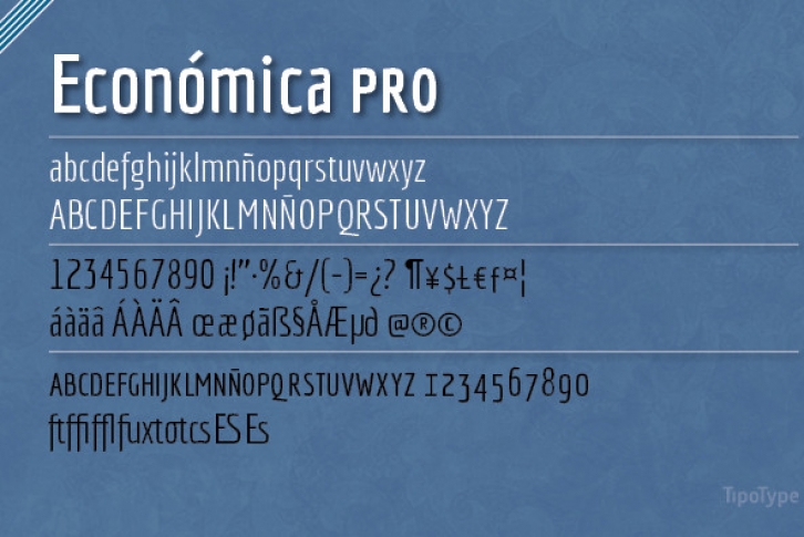 Economica Pro Font Font Download