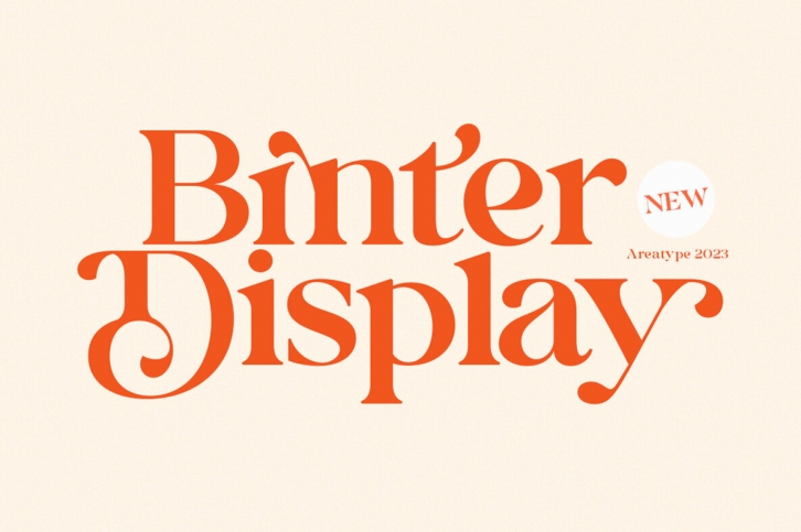 Binter Display Font Font Download