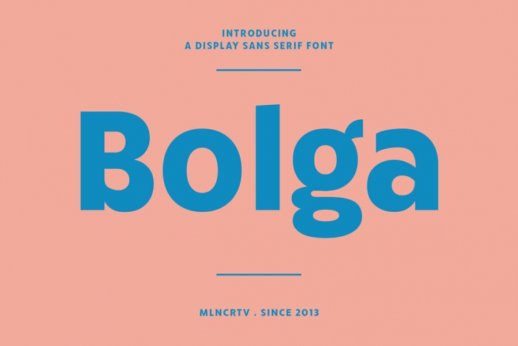 Bolga Font Font Download