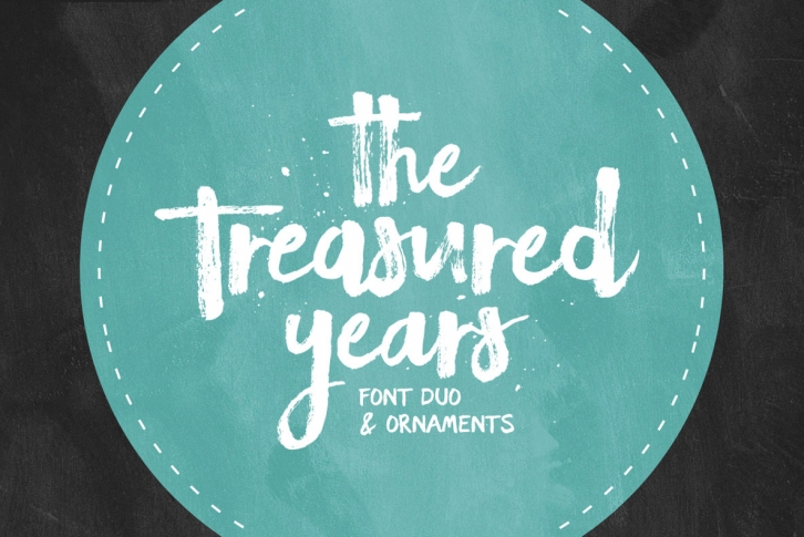 The Treasured Years Font Font Download