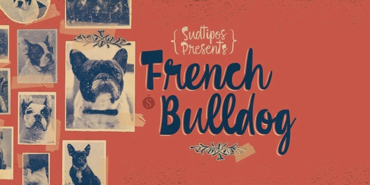 French Bulldog Font Font Download