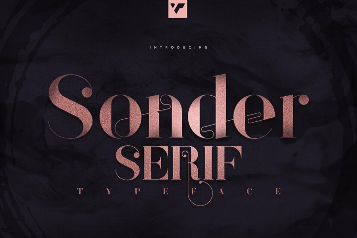 Sonder Serif Font Font Download