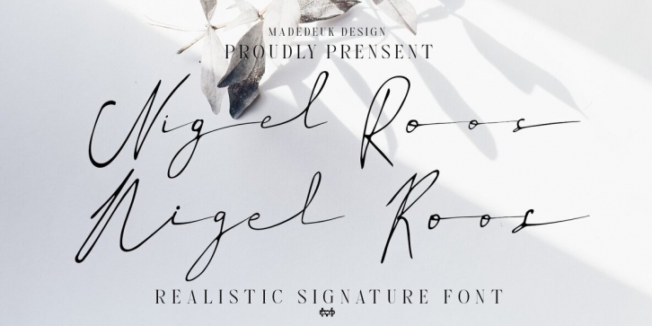 Nigel Roos Font Font Download