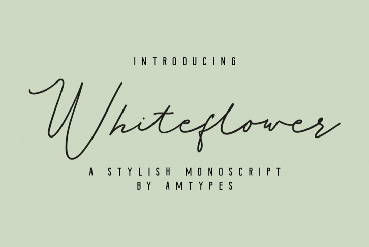Whiteflower Font Font Download