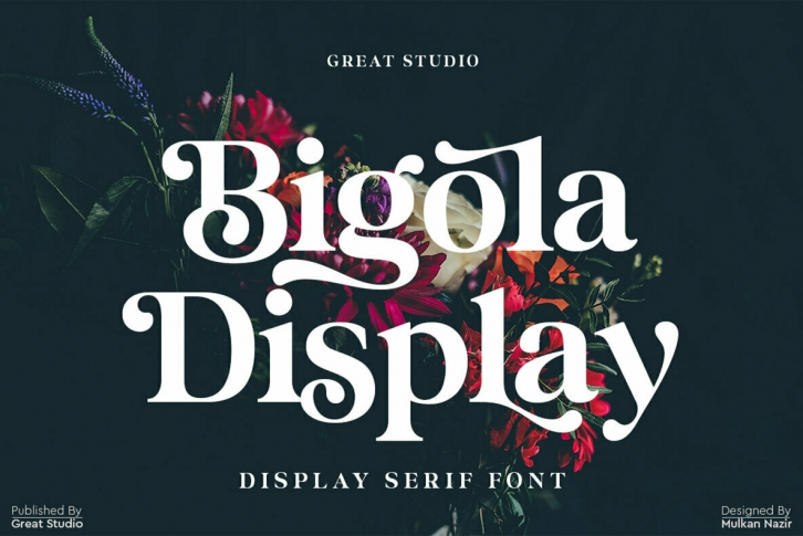 Bigola Display Font Font Download