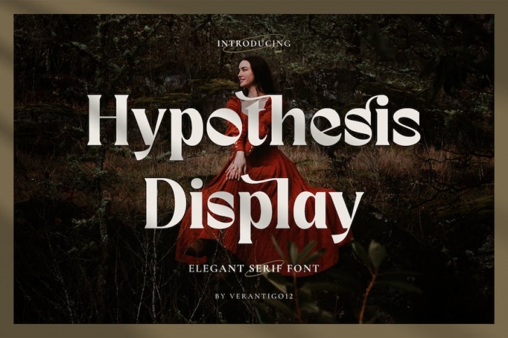 Hypothesis Display - Serif Font Font Download