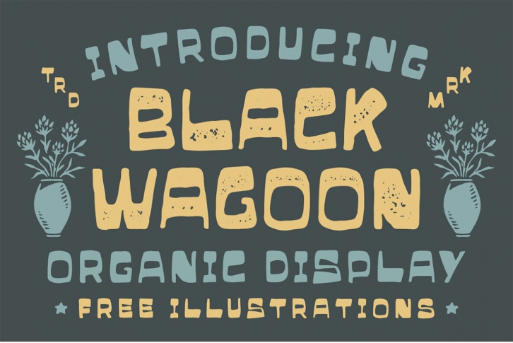 Black Wagoon Font Font Download
