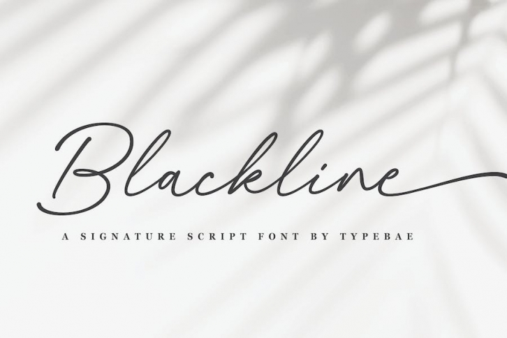 Backline - Chic Signature Script Font Font Download