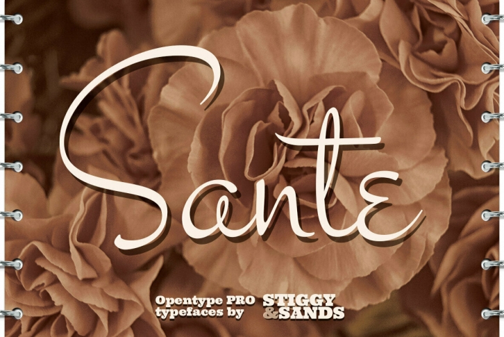 Sante Pro Font Font Download