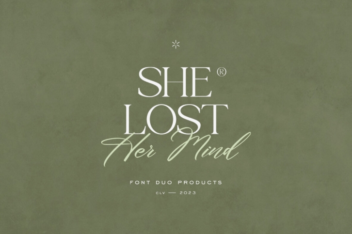 She Lost Her Mind Font Font Download