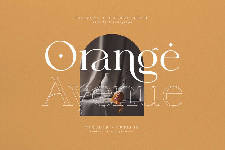 Orange Avenue Font Font Download