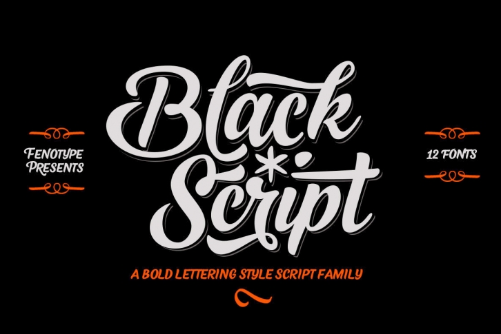 Black Script Font Font Download