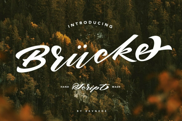 Brucke Font Font Download