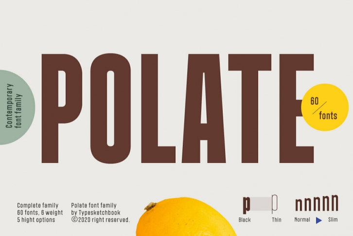 Polate Font Font Download