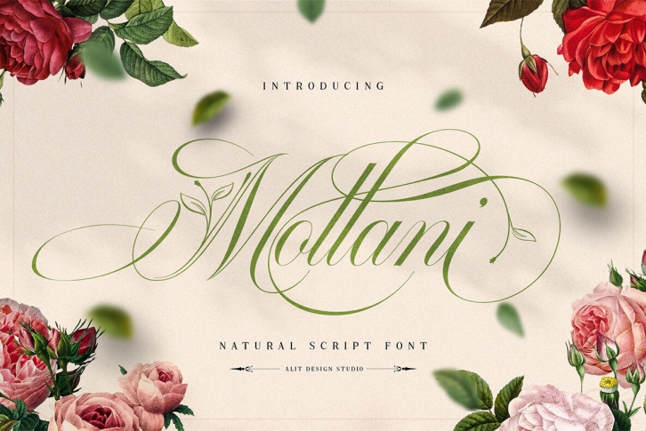 Mollani Font Font Download