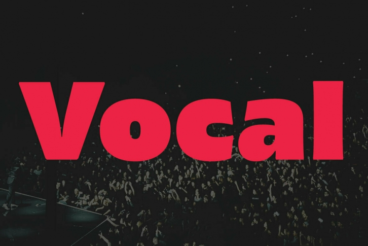 Vocal Font Font Download