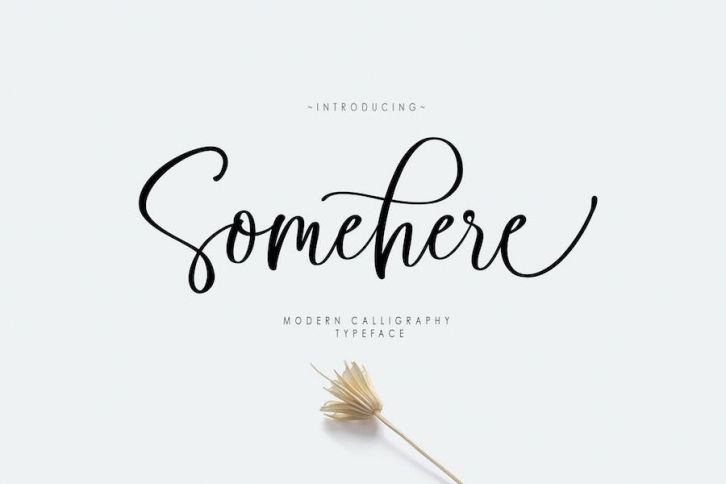 Somehere Script Font Download